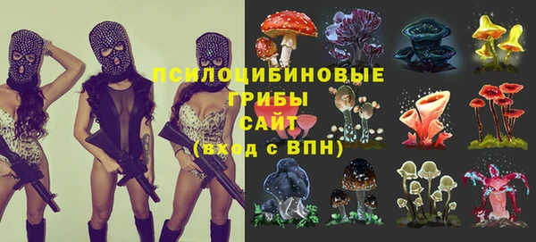 кокс Вяземский